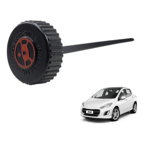 Tampa Reservatório Direção 308 408 2012 2013 2014 2015 2018